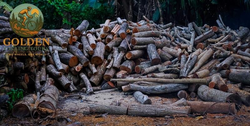 Cycling Through Phu Quoc Rural Village: Half-Day Countryside Tour